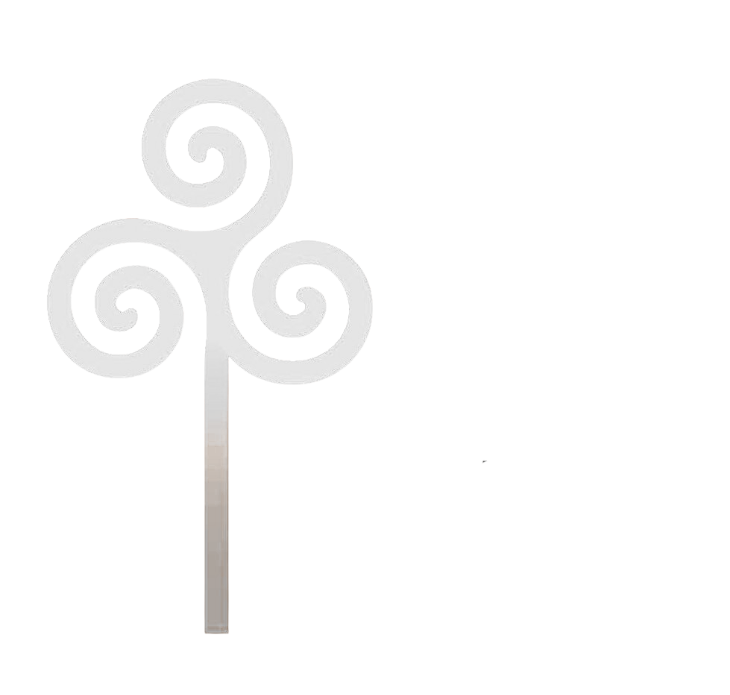 RAS International logo